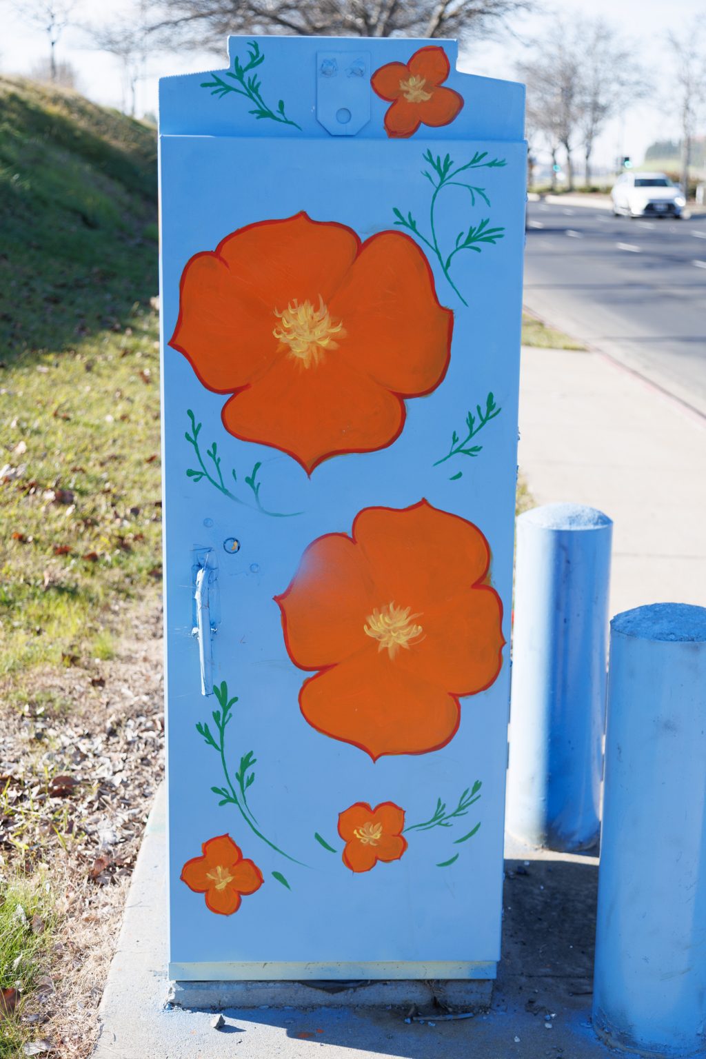 Gallery 2 - Painted utility box at a street corner with large orange flowers on a light blue background. The artwork brightens a traffic signal cabinet beside Sagebrush Drive in Antioch.