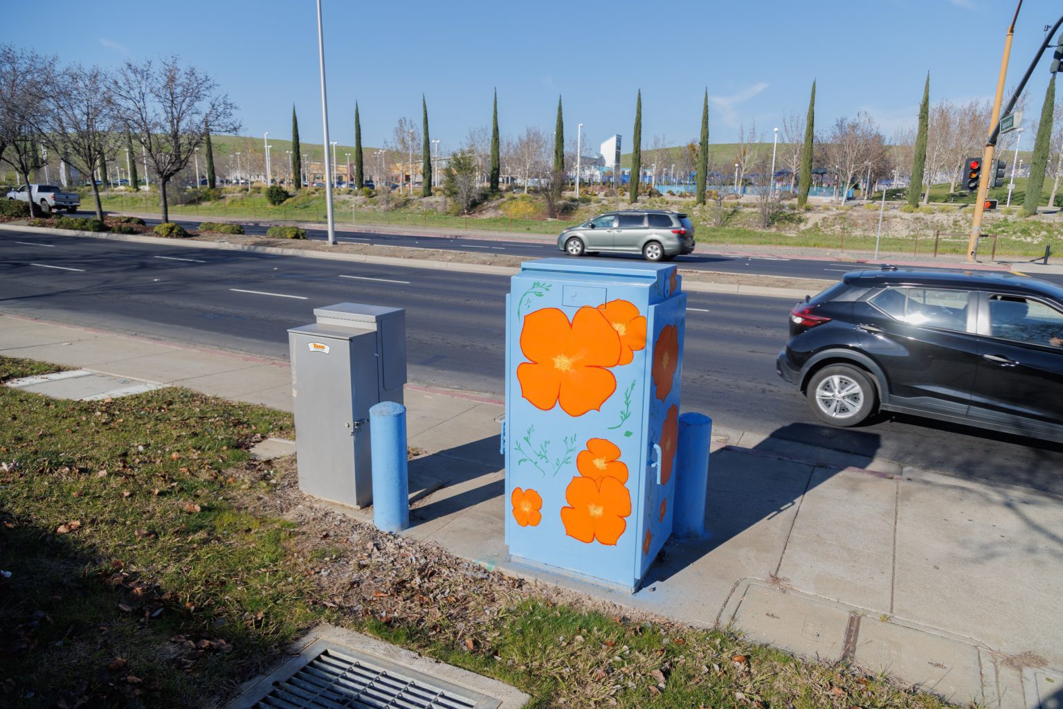 Gallery 1 - Painted utility box at a street corner with large orange flowers on a light blue background. The artwork brightens a traffic signal cabinet beside Sagebrush Drive in Antioch.