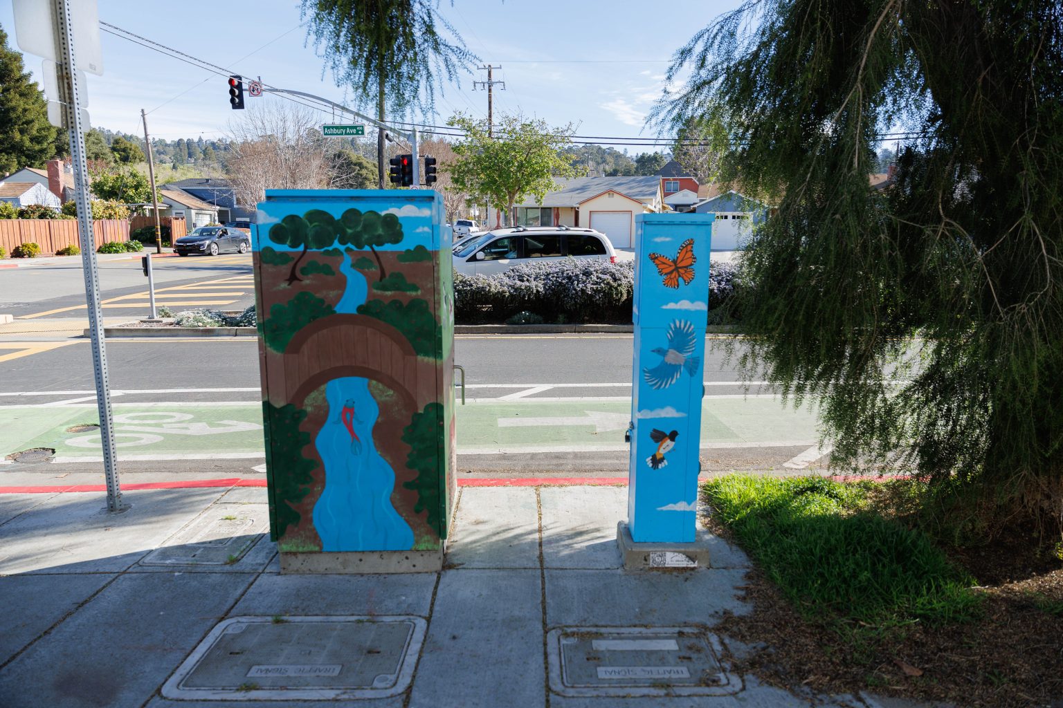 Gallery 1 - Two utility boxes featuring nature-themed murals. The larger box shows a 
