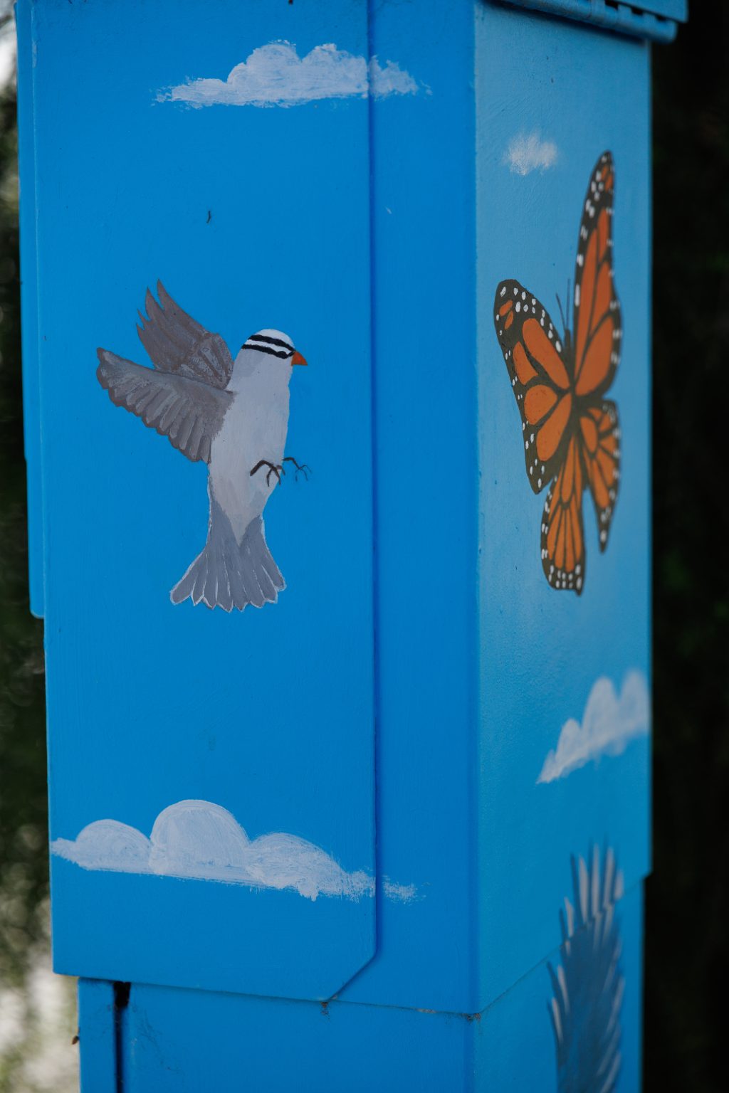Gallery 5 - A Bee’s Eye View and Flight