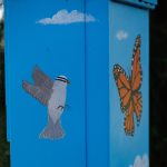 Gallery 5 - A Bee’s Eye View and Flight