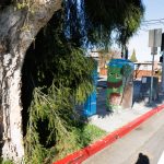 Gallery 4 - Two utility boxes featuring nature-themed murals. The larger box shows a 