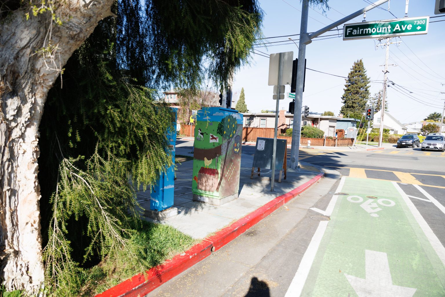 Gallery 4 - Two utility boxes featuring nature-themed murals. The larger box shows a 
