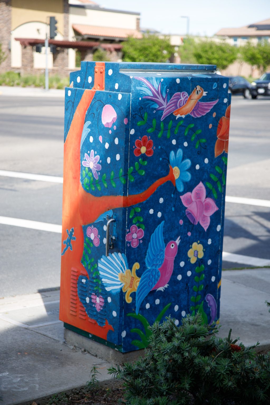 Gallery 6 - Untitled Utility Box (Colorful Birds)