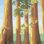 Gallery 6 - Colored pencil painting of Sequoia trees in California.