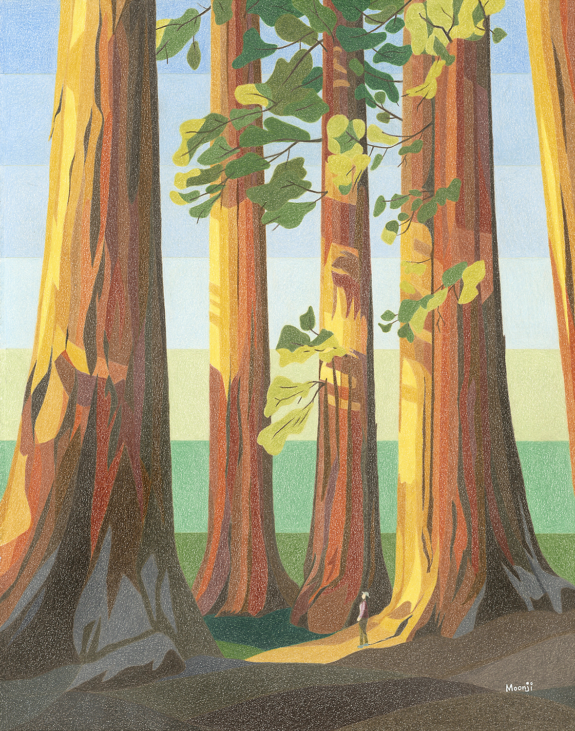 Gallery 6 - Colored pencil painting of Sequoia trees in California.