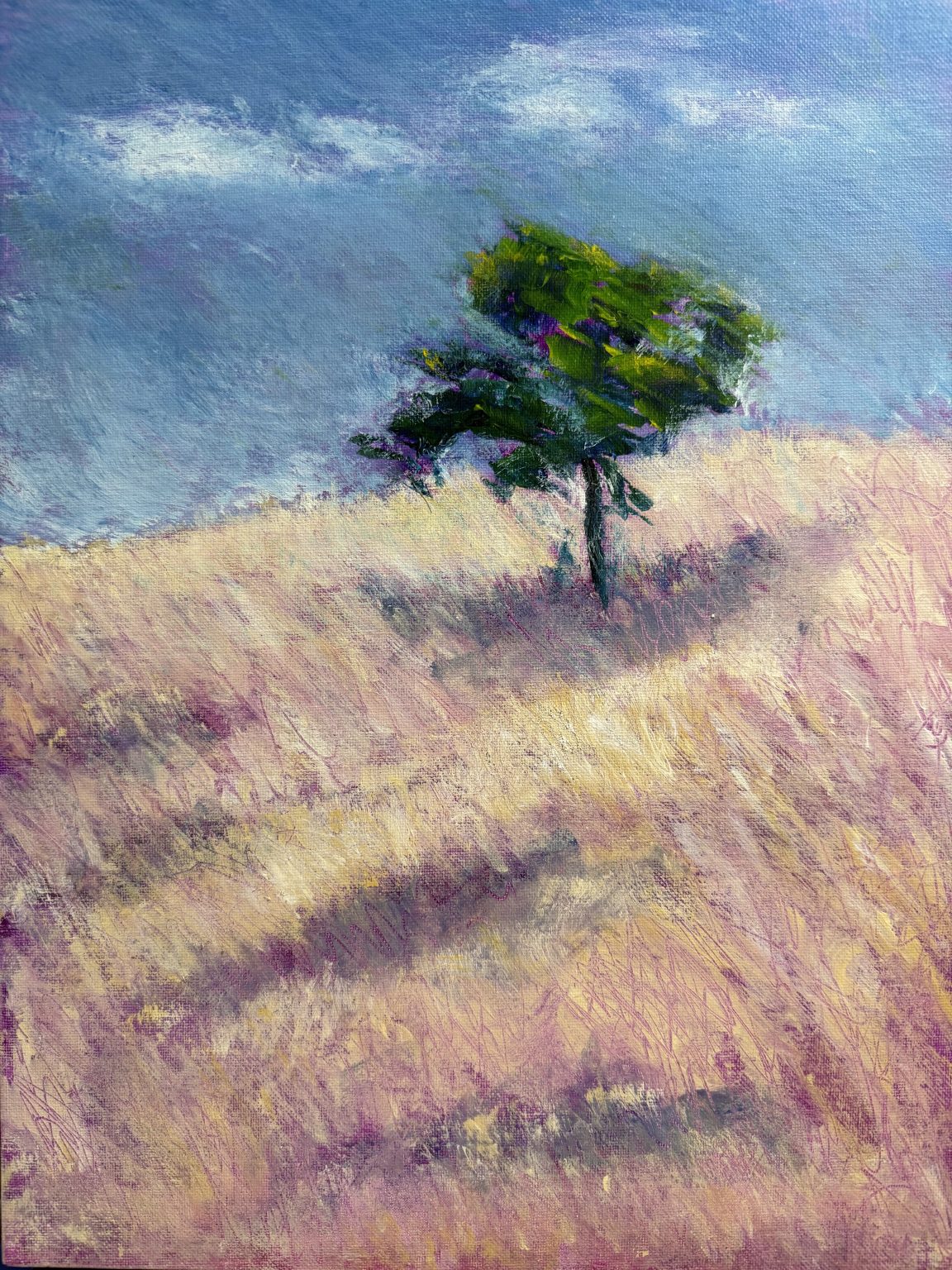 Gallery 6 - Impressionistic lone tree on golden hill