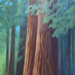 Gallery 2 - Redwoods in the Albee Creek Campground near the Avenue of the Giants