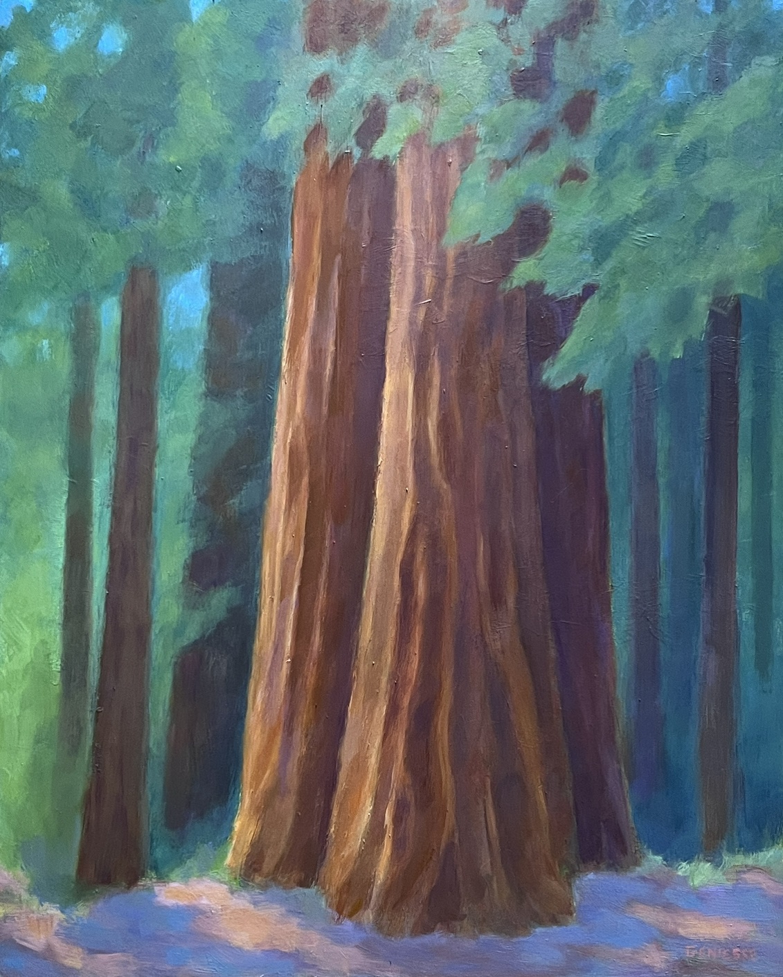 Gallery 2 - Redwoods in the Albee Creek Campground near the Avenue of the Giants