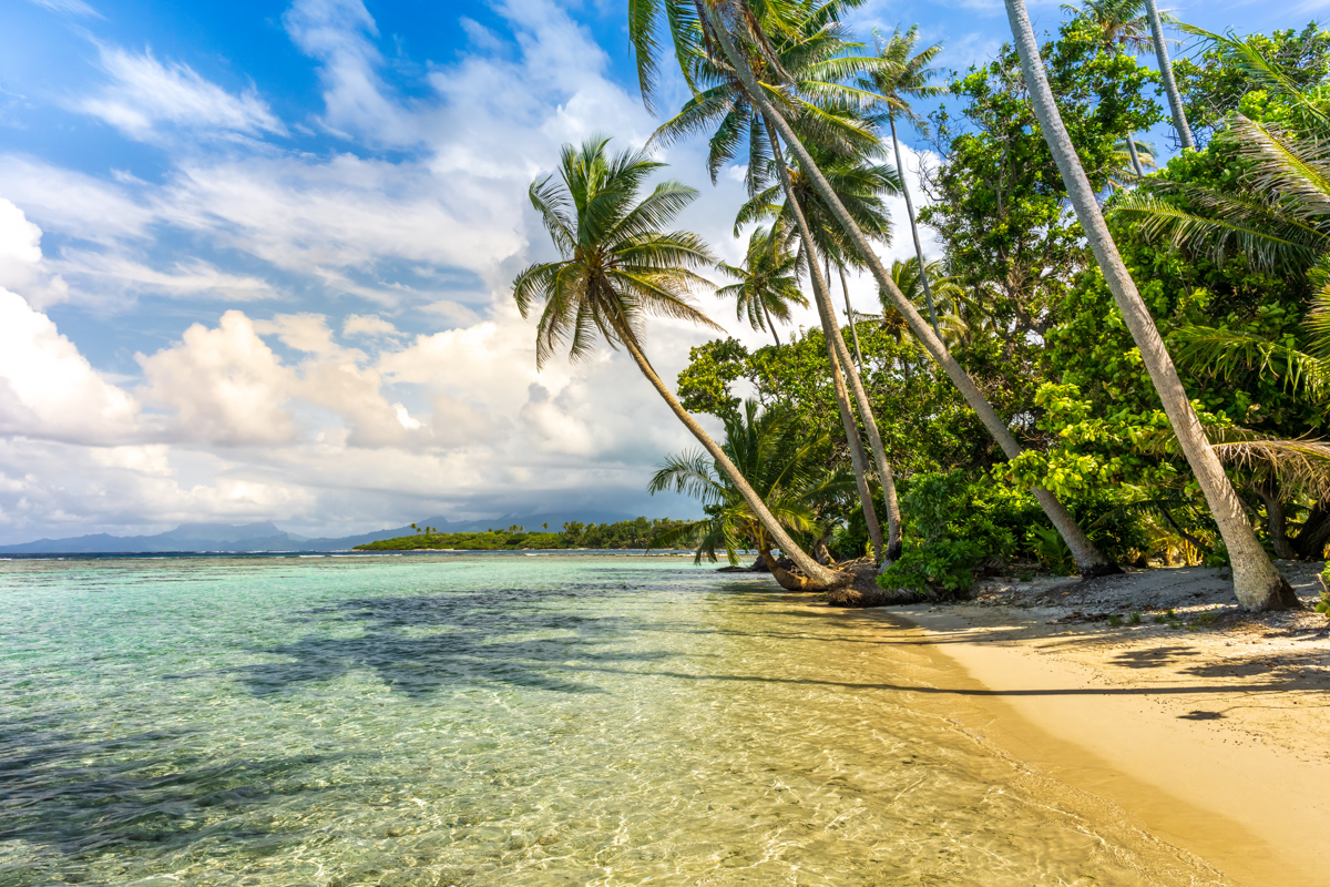 Gallery 3 - Picture of a beautiful beach in French Polynesia