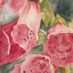 Gallery 1 - Mary Lamb