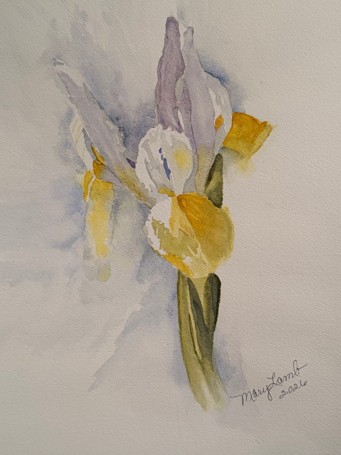 Gallery 2 - Mary Lamb