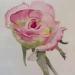 Gallery 4 - Mary Lamb