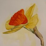 Gallery 6 - Mary Lamb