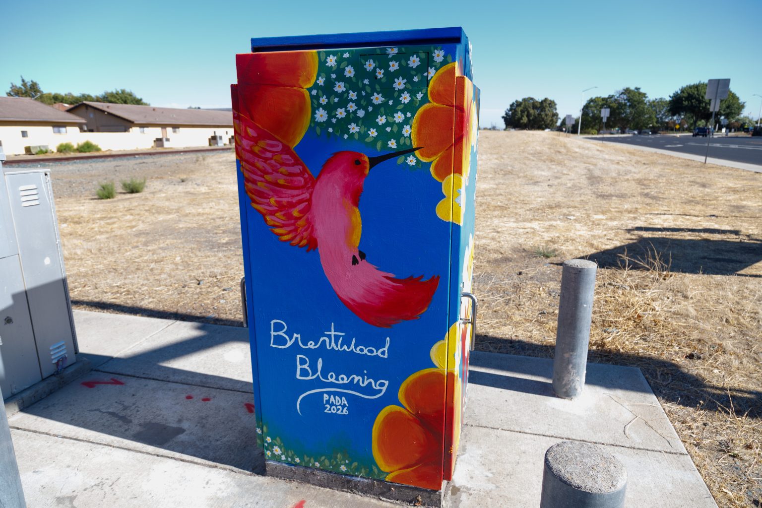 Gallery 2 - A vibrant painted utility box featuring a pink hummingbird in flight against a bright blue sky, surrounded by orange fruit and small white blossoms, with text reading 