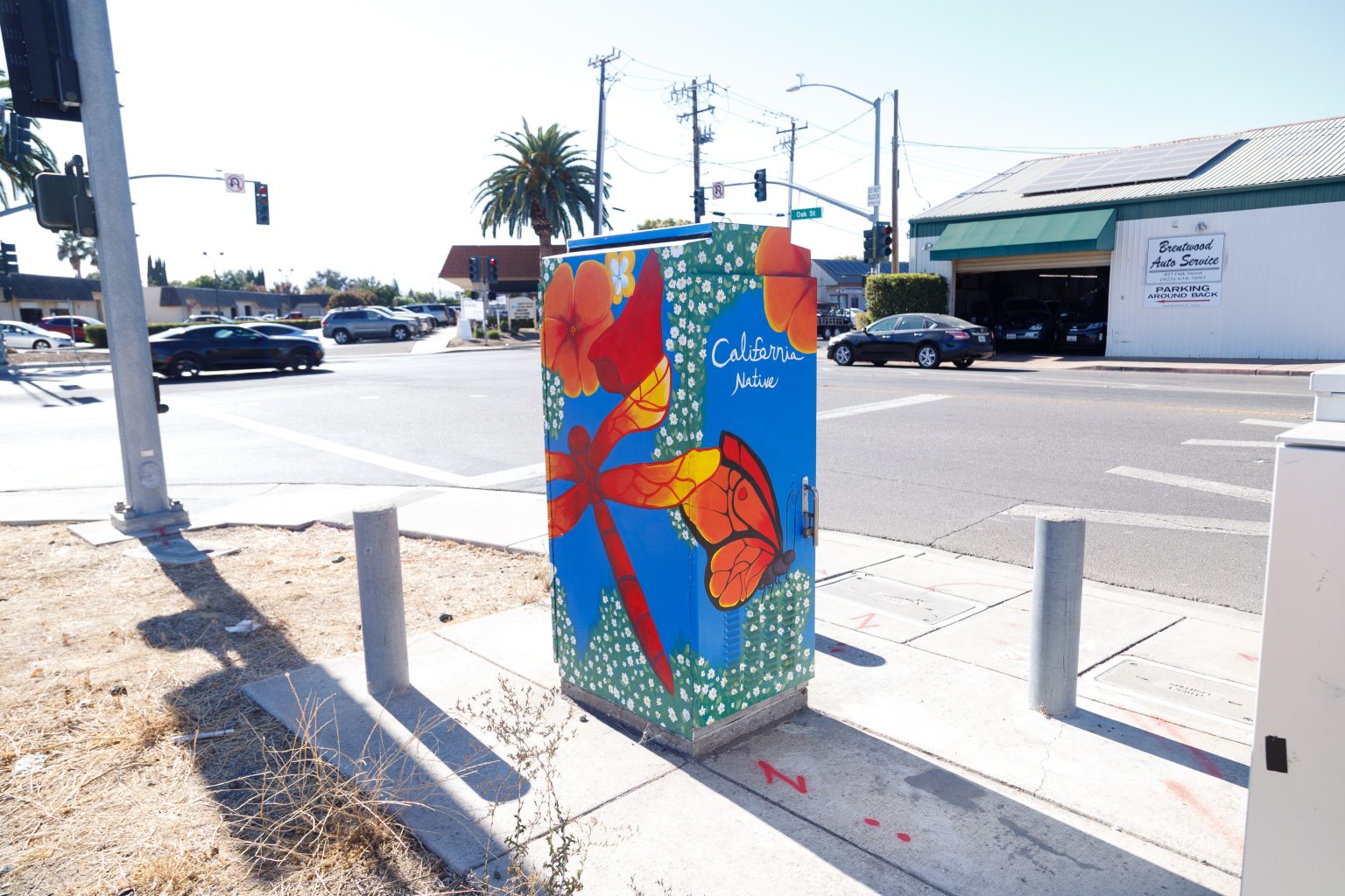 Gallery 1 - A vibrant painted utility box featuring a pink hummingbird in flight against a bright blue sky, surrounded by orange fruit and small white blossoms, with text reading 