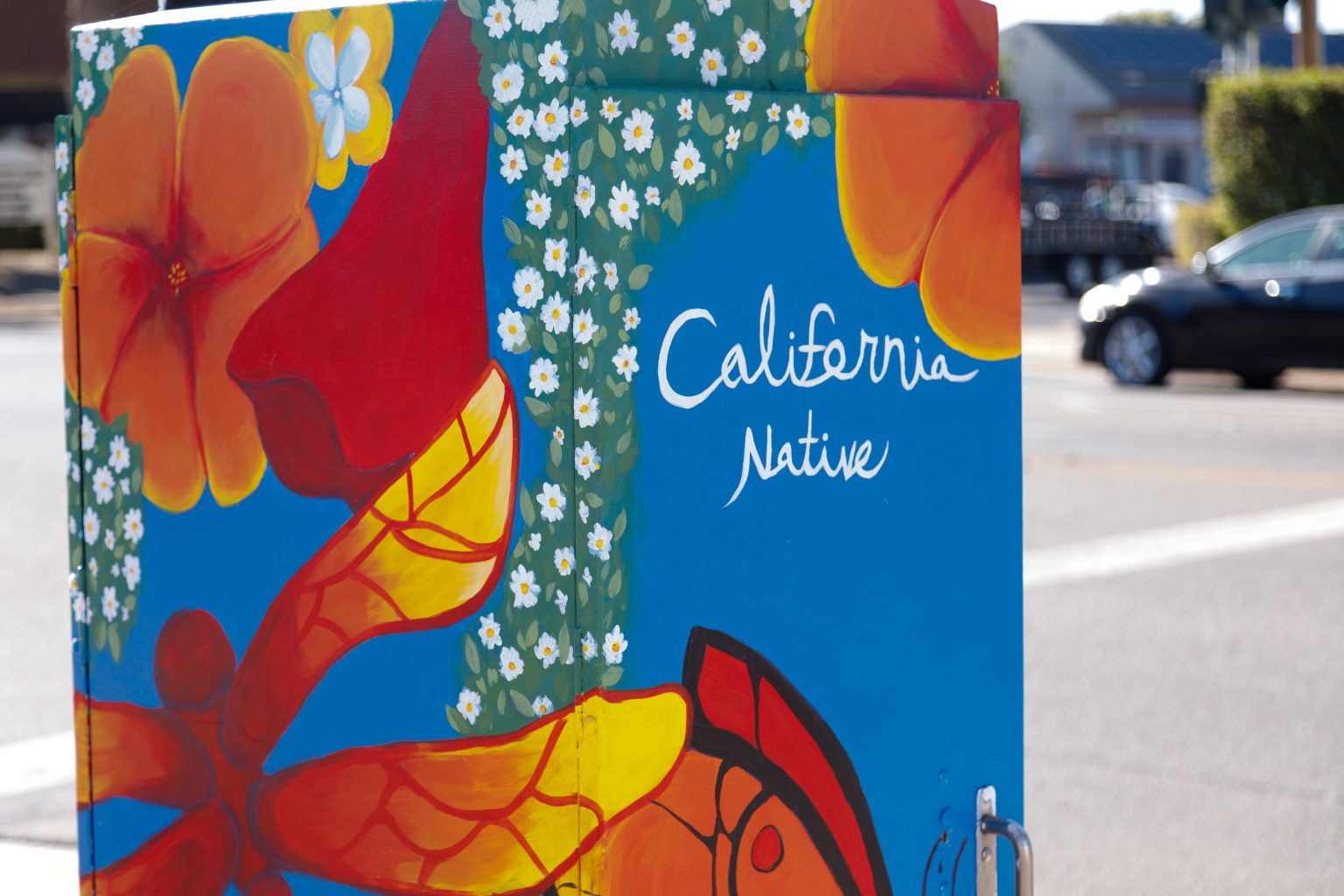 Gallery 4 - A vibrant painted utility box featuring a pink hummingbird in flight against a bright blue sky, surrounded by orange fruit and small white blossoms, with text reading 
