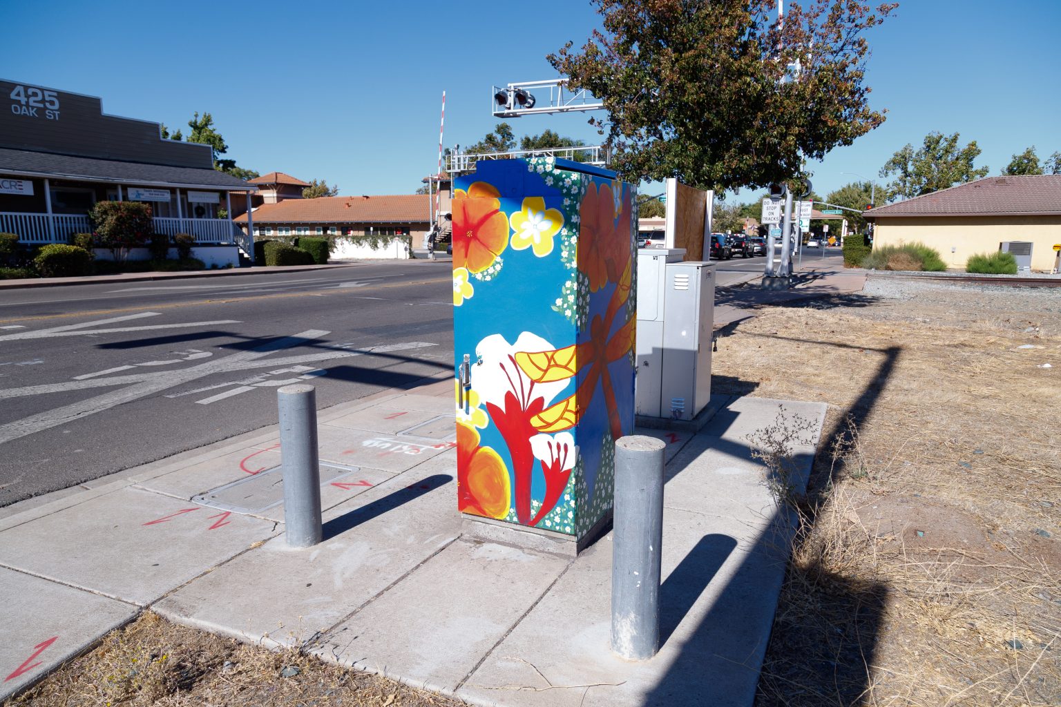 Gallery 5 - A vibrant painted utility box featuring a pink hummingbird in flight against a bright blue sky, surrounded by orange fruit and small white blossoms, with text reading 