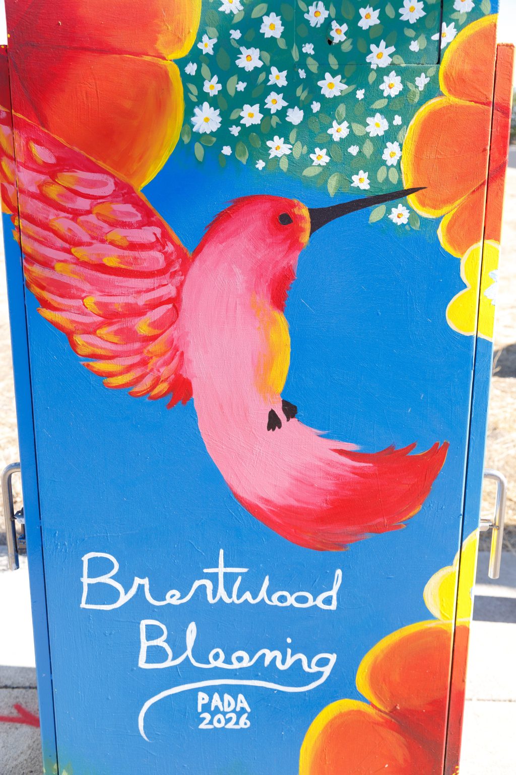 Gallery 6 - A vibrant painted utility box featuring a pink hummingbird in flight against a bright blue sky, surrounded by orange fruit and small white blossoms, with text reading 