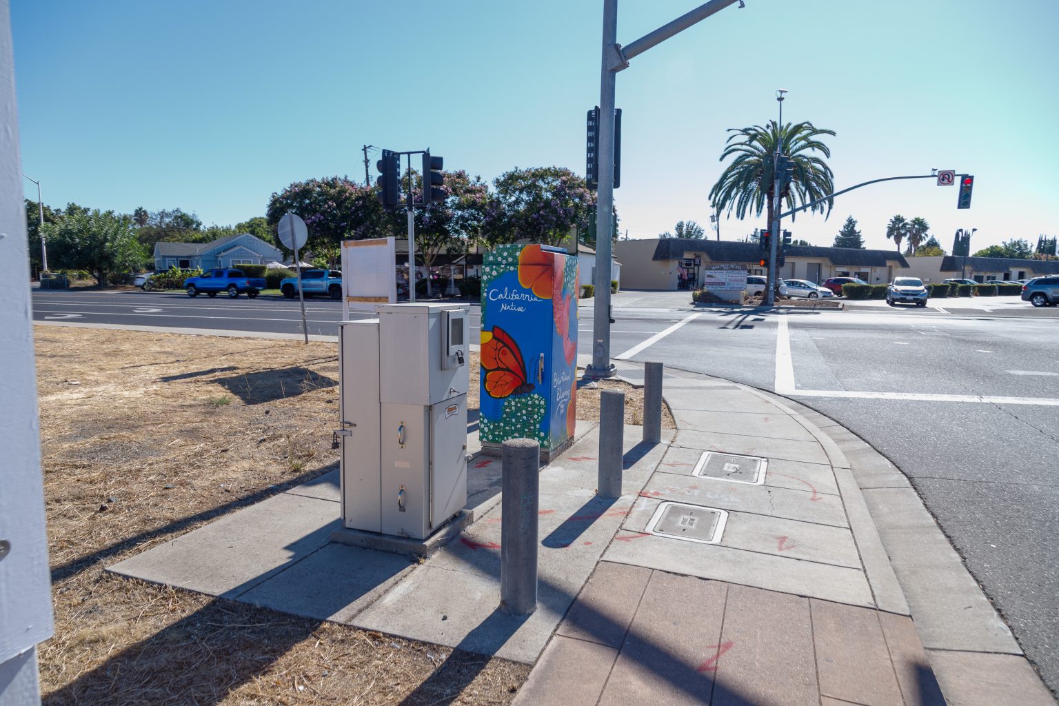 Gallery 7 - A vibrant painted utility box featuring a pink hummingbird in flight against a bright blue sky, surrounded by orange fruit and small white blossoms, with text reading 