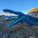 Gallery 5 - Niloticus