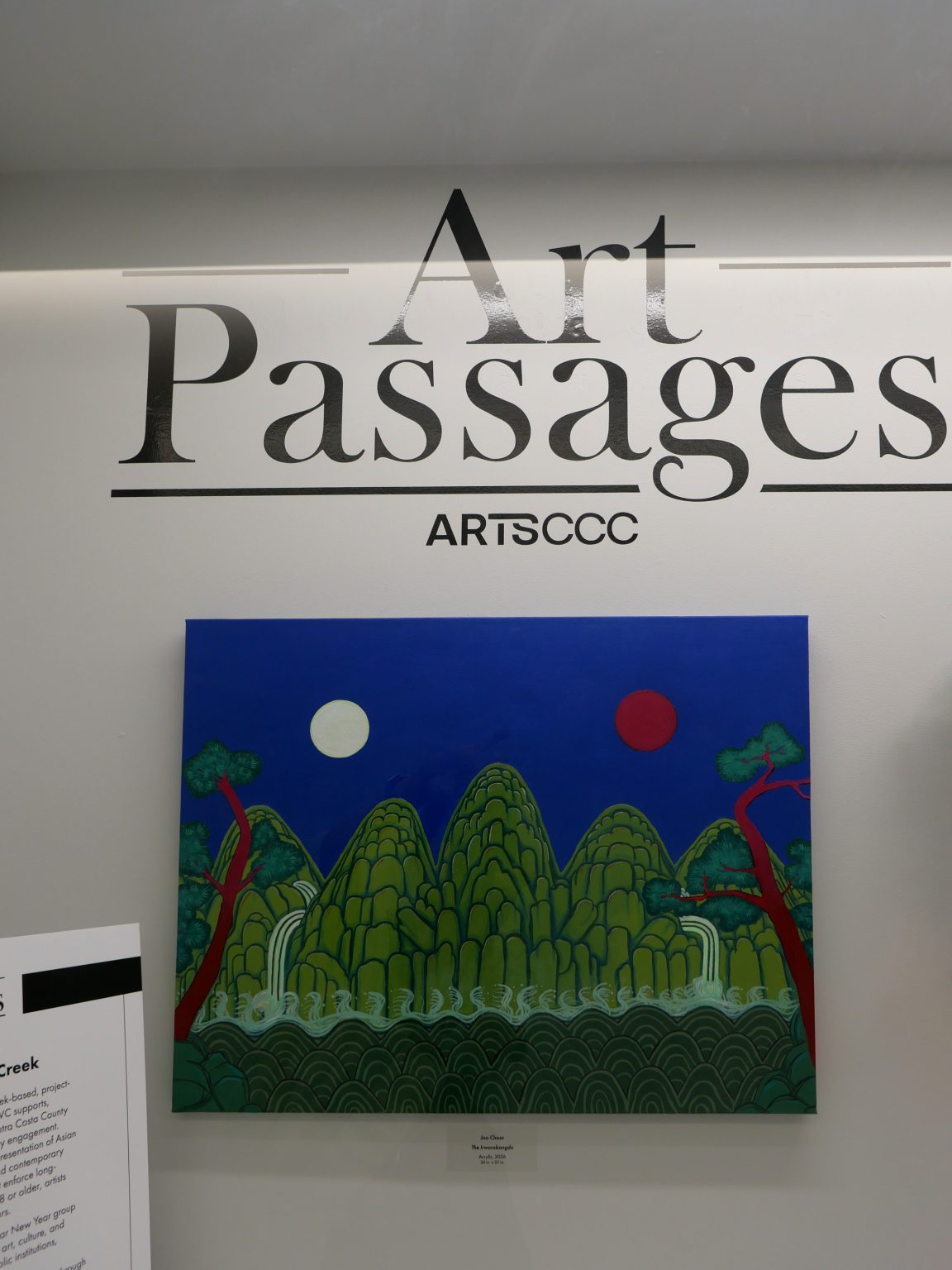 Gallery 13 - Joo Chase artwork.