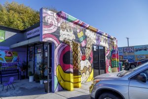 Helados y Paletas Perita Mural